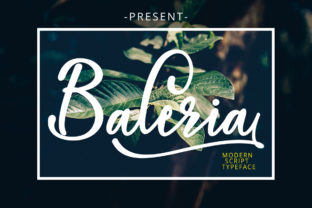 Baleria Script: A Modern Typeface for Web Design