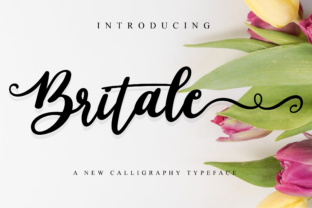 Britale Script: A Typeface for Polished Branding