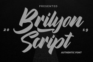 Brylion Script: A Handwritten Font for Campaigns