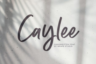 Caylee Script: The Handwritten Font That Elevates Campaigns