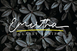 Emertha Script: A Modern Typeface for Digital Design