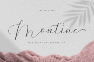 Montine Script: A Handwritten Typeface for Modern Campaigns