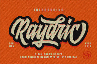 Raydric Script Shadow Outline Typeface Review