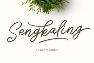 Sengkaling Script: A Modern Typeface for Web Design